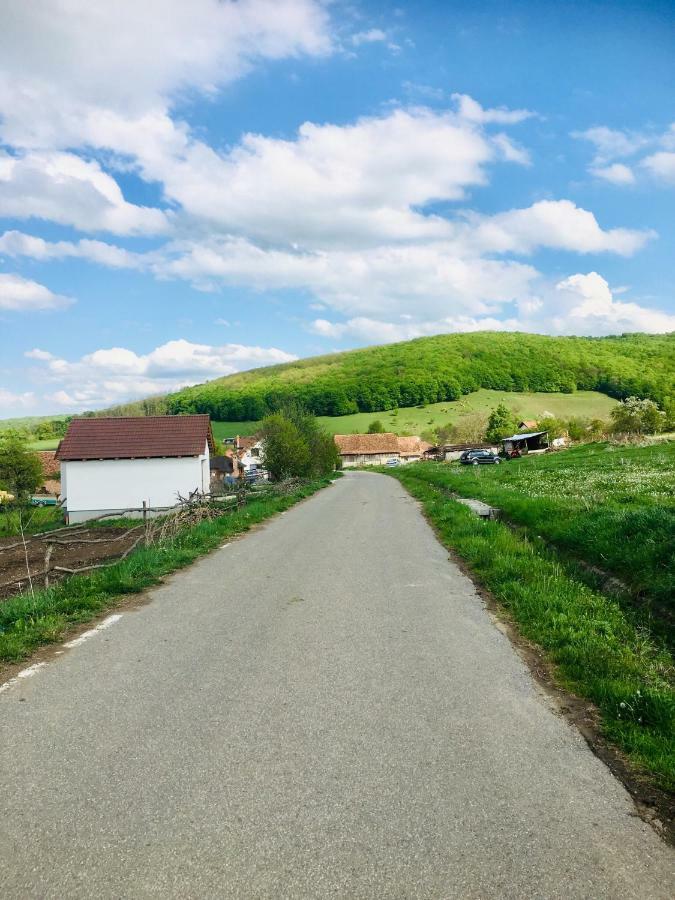 Dunesdorfer Pension Hotel Daneş Eksteriør billede